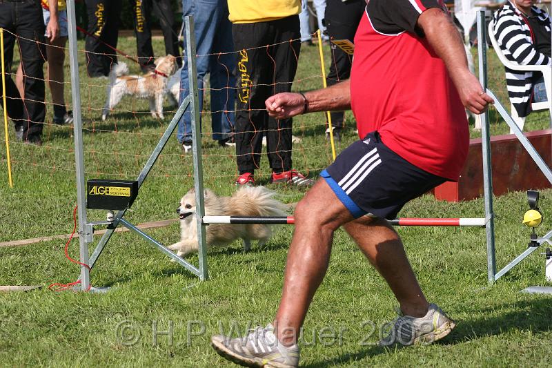 jubil.lusten. 192.jpg